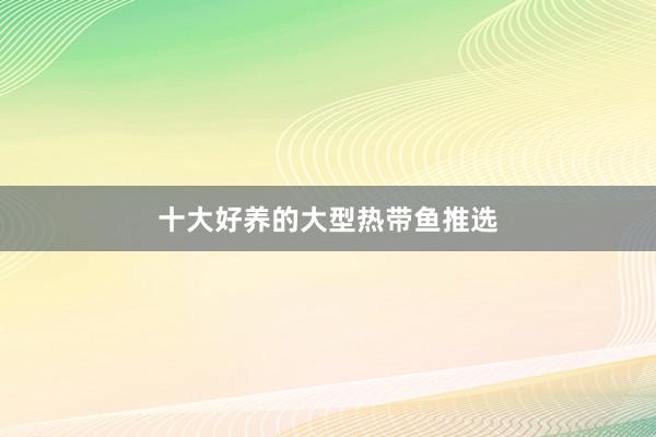 十大好养的大型热带鱼推选
