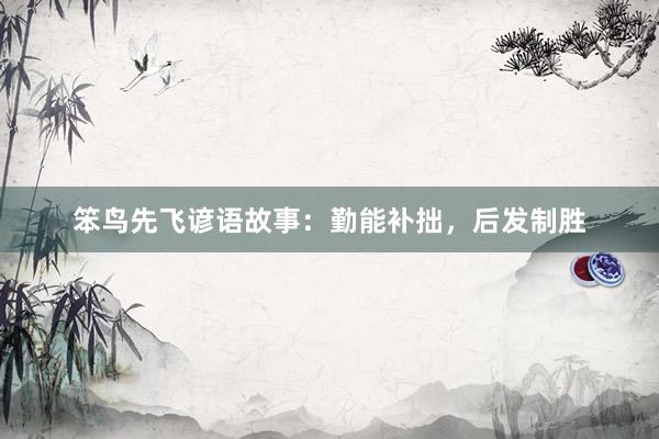 笨鸟先飞谚语故事：勤能补拙，后发制胜
